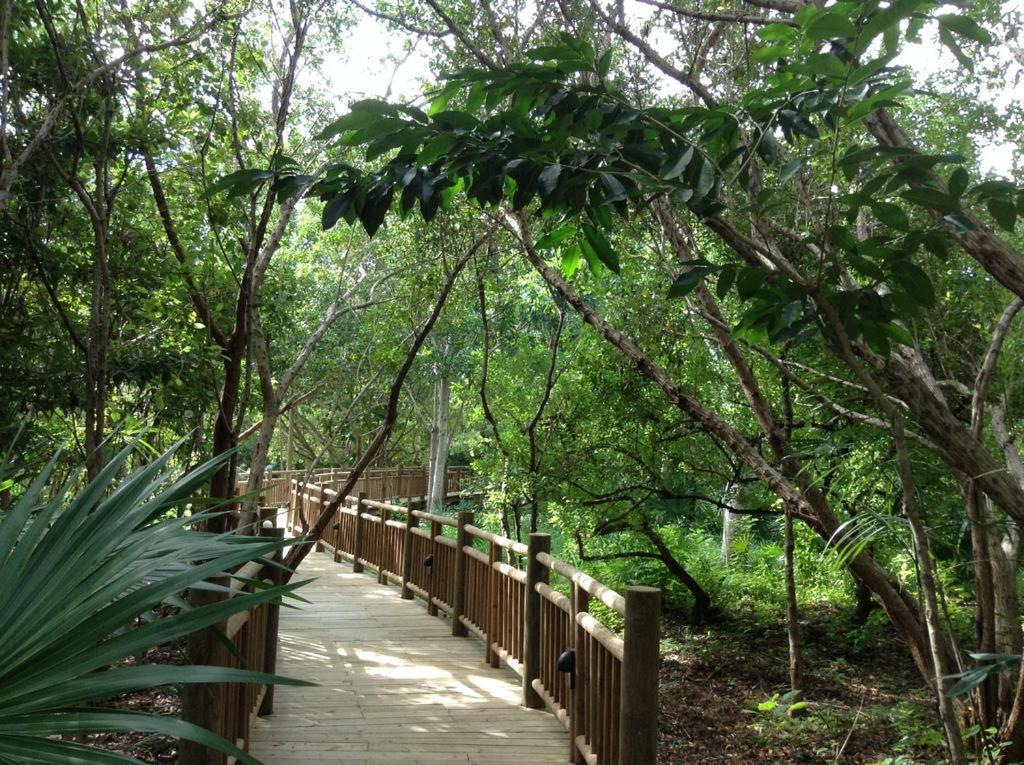 Mayan Palace Vidanta Resort Riviera Maya Puerto Morelos Kültér fotó
